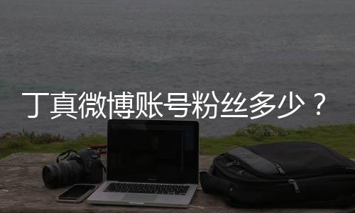 微博账号族网真签相丁真多少红小粉丝哥丁藏约国企真
